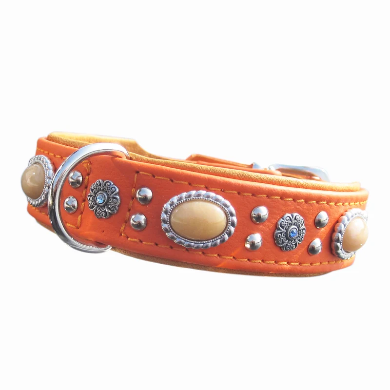 Hundehalsband Bellissima - individuelle Farbgestaltung