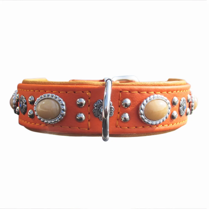Hundehalsband Bellissima - individuelle Farbgestaltung