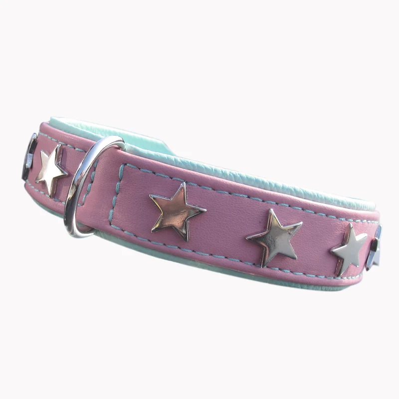Hundehalsband Magic Star - individuelle Farbgestaltung