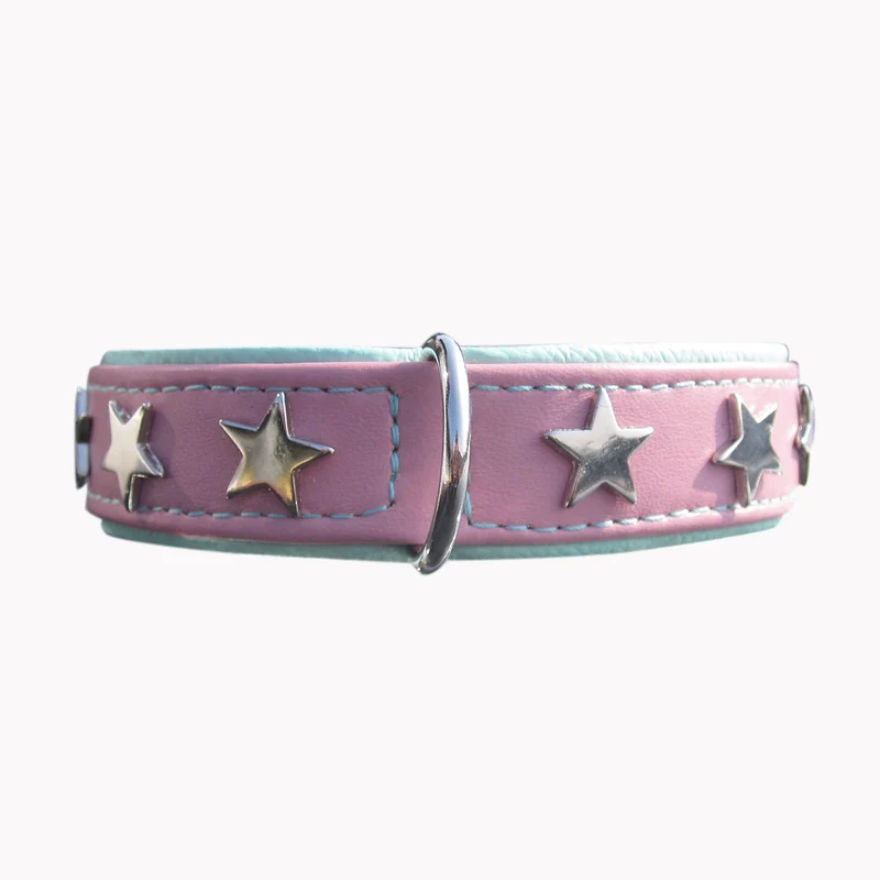 Hundehalsband Magic Star - individuelle Farbgestaltung