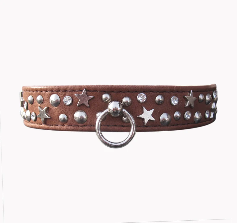 Hundehalsband Sterntaler - individuelle Farbgestaltung