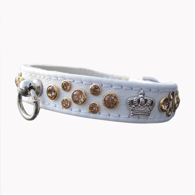 Hundehalsband CrownStar - individuelle Farbgestaltung