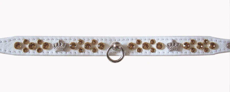 Hundehalsband CrownStar - individuelle Farbgestaltung
