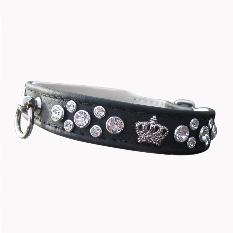 Hundehalsband CrownStar - individuelle Farbgestaltung