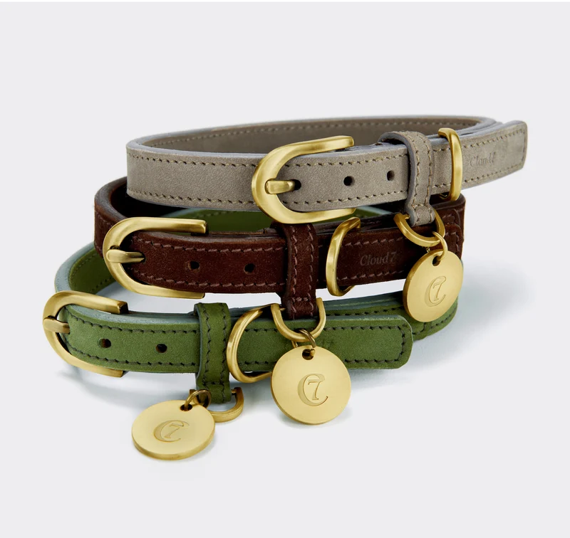 Cloud7 – Hundehalsband Tiergarten