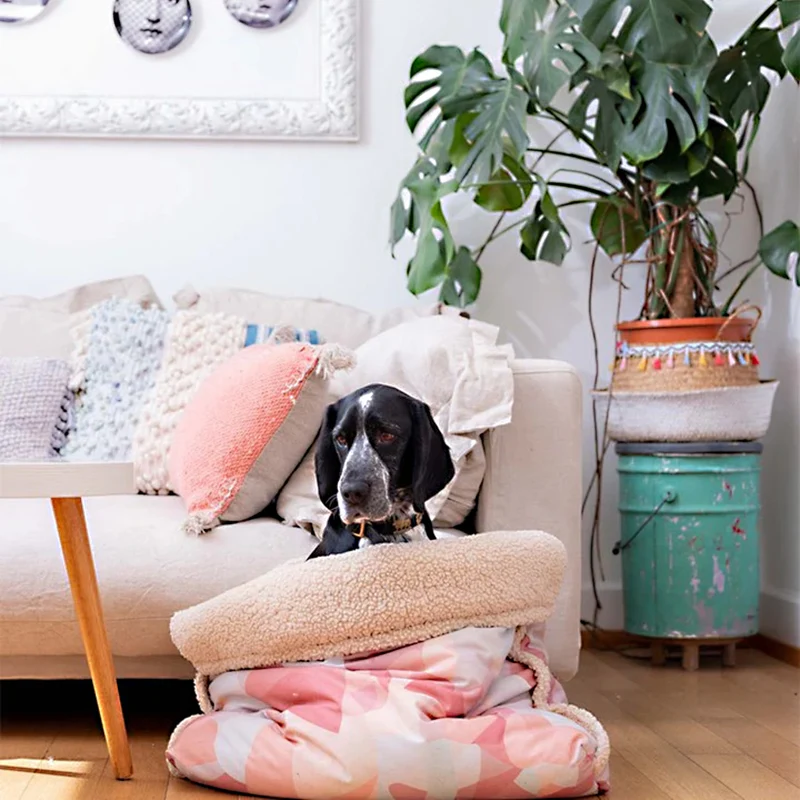 Pet & Co. Kuschelsack / Snuggle Bed Canvas Teddy Fur