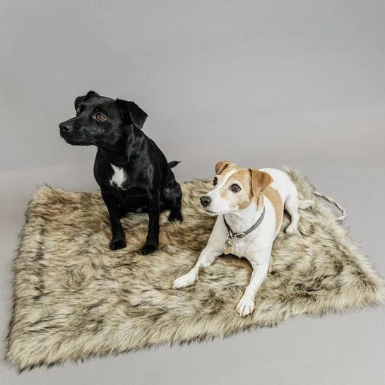 Kentucky Hundebett zum Mitnehmen Decke FUZZY