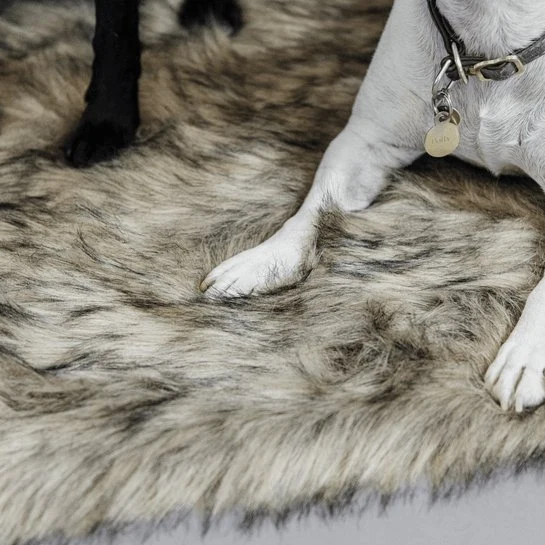 Kentucky Hundebett zum Mitnehmen Decke FUZZY