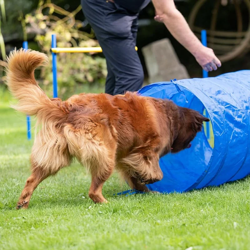 Agility Tunnel mit Tragetasche