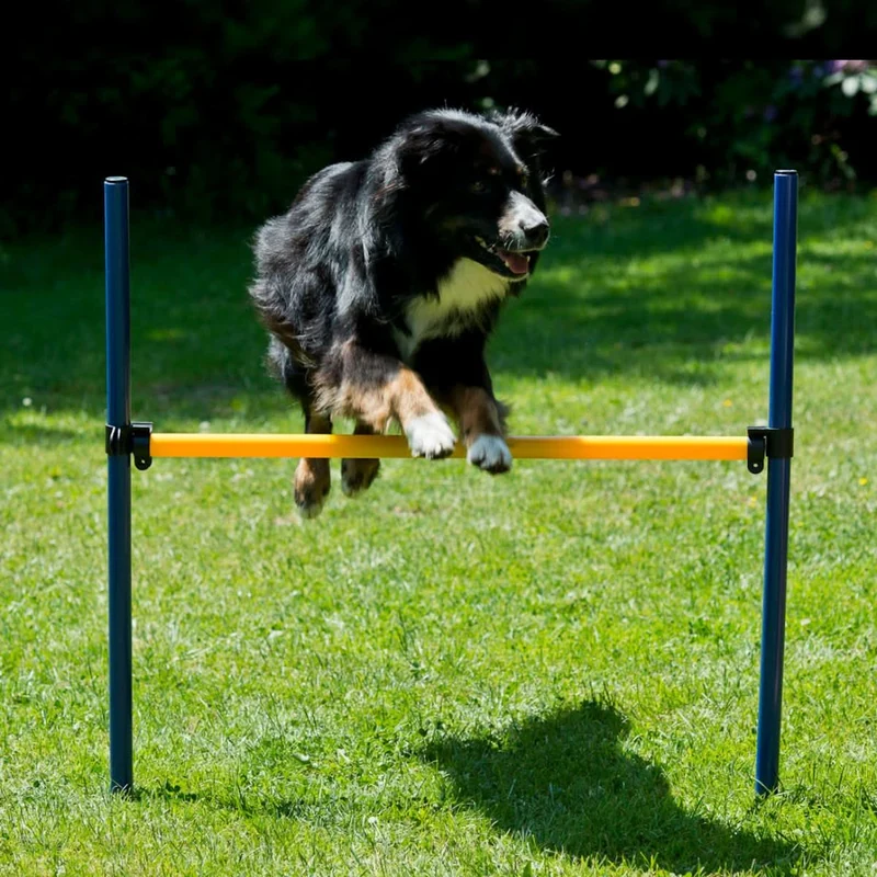 Agility Starter-Trainingsset 9-teilig