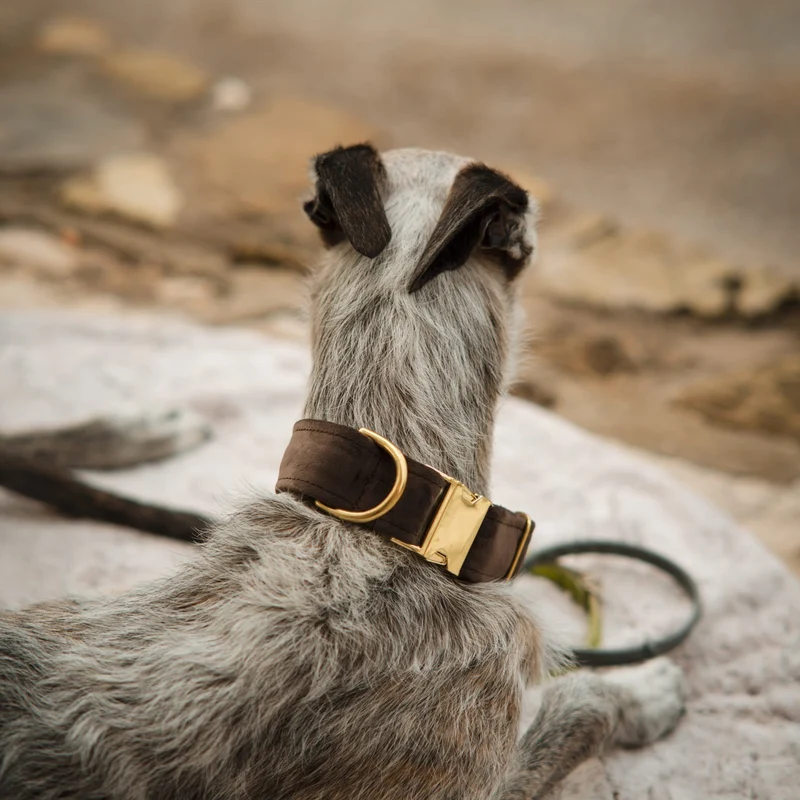Hundehalsband Sametti Schoko