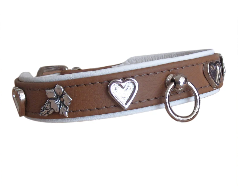 Hundehalsband Luis - individuelle Farbgestaltung