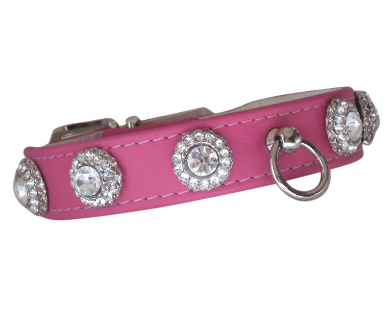 Hundehalsband Magique - individuelle Farbgestaltung