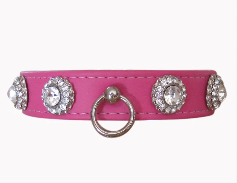 Hundehalsband Magique - individuelle Farbgestaltung