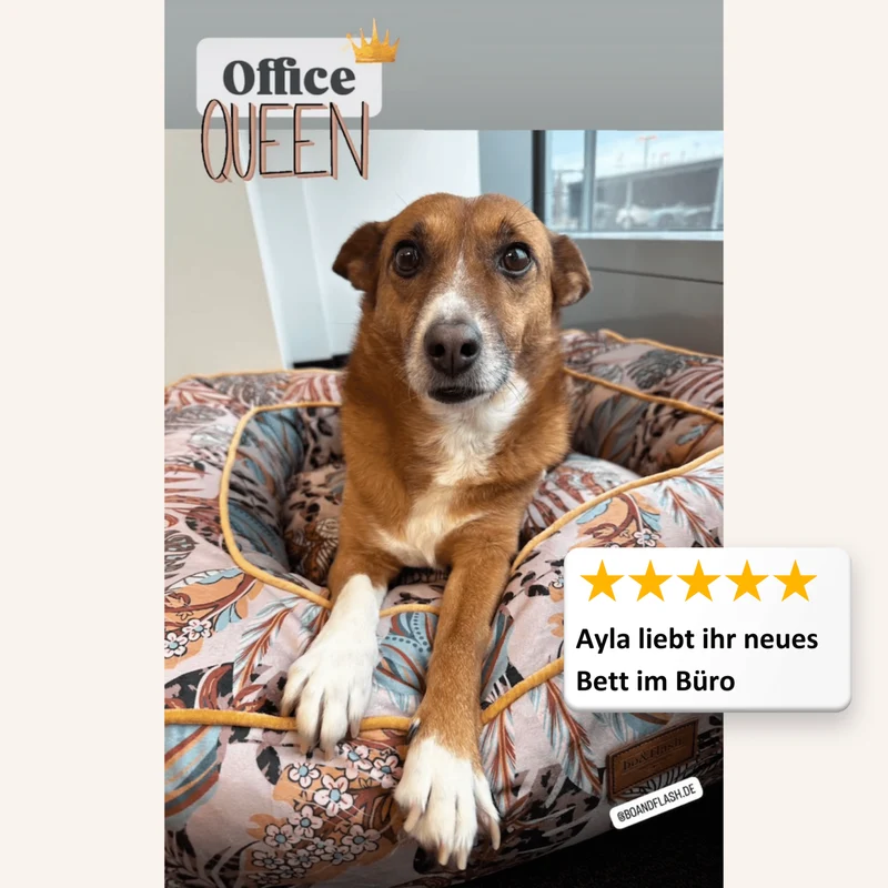 Hundebett Boise "Erdem"