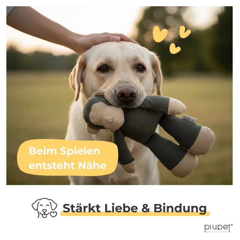 Hundespielzeug "KIBA"
