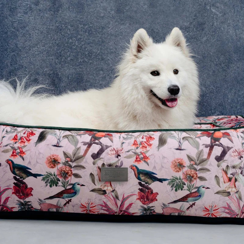 Hundebett Boise "Elodie"