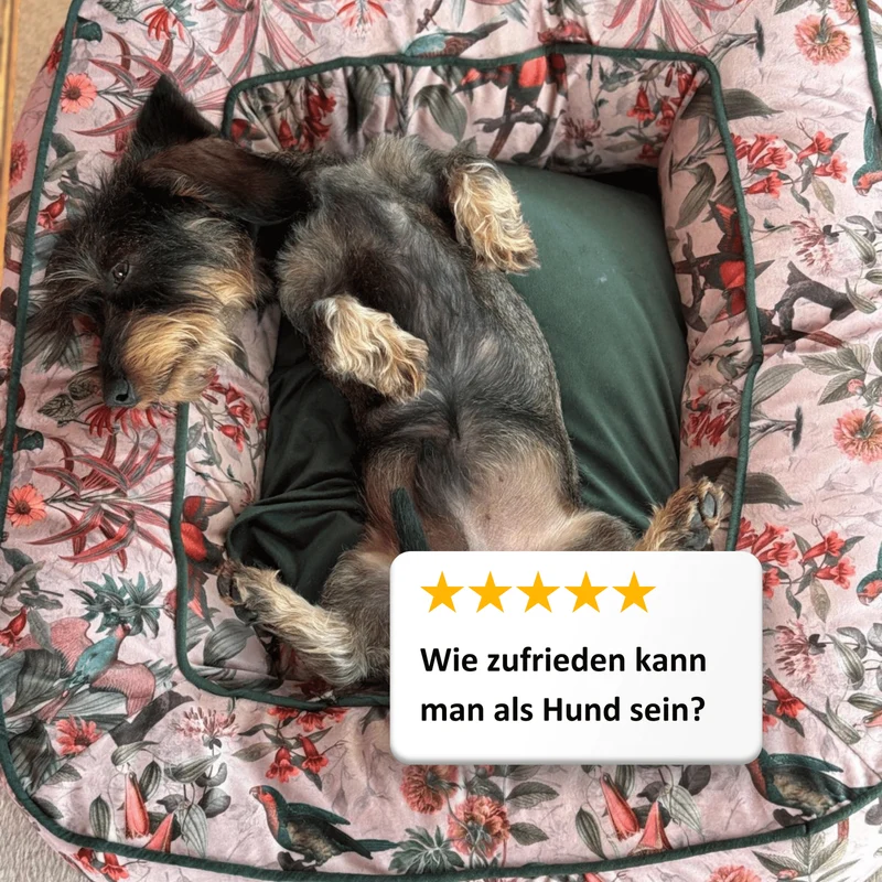 Hundebett Boise "Elodie"