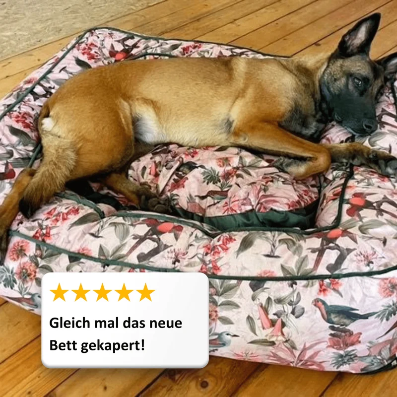 Hundebett Boise "Elodie"