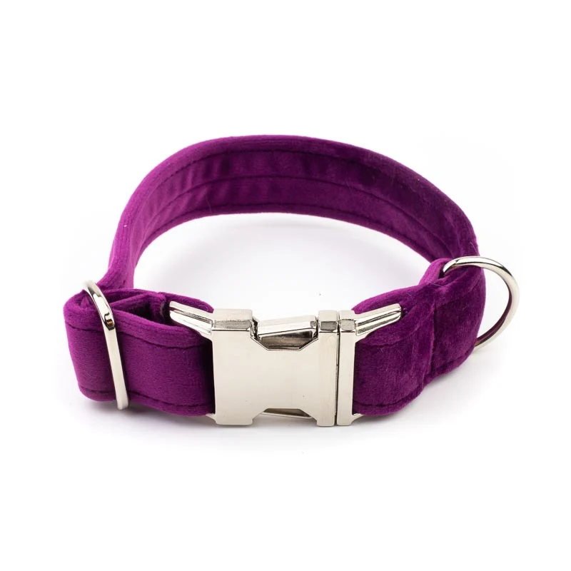 Hundehalsband Sametti Lila
