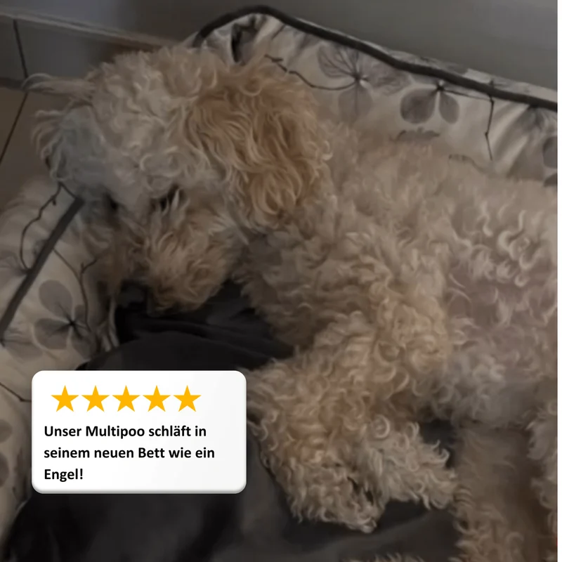Hundebett Austin "Lobna"