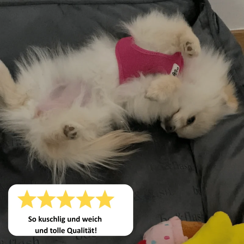 Hundebett Austin "Taupe"