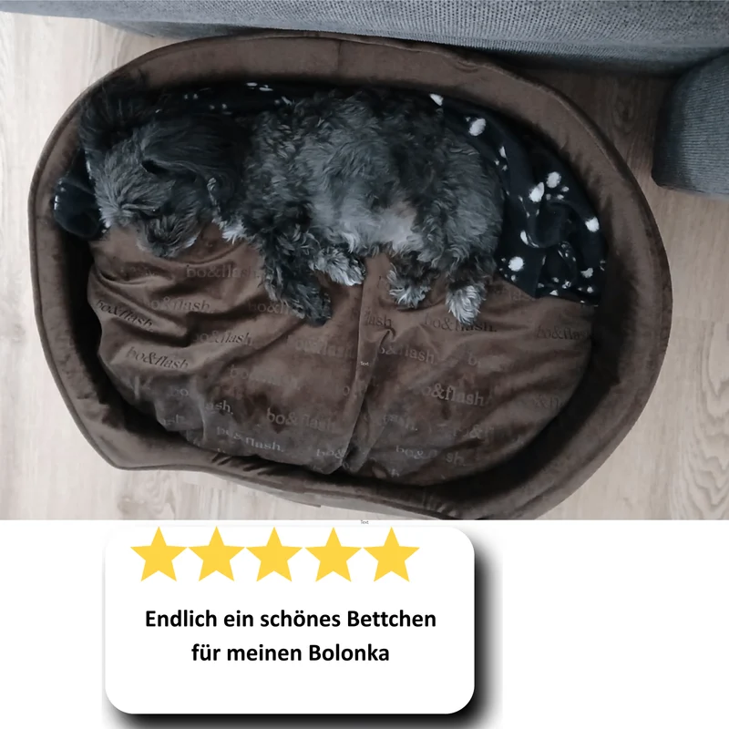 Hundebett San Diego "Taupe"