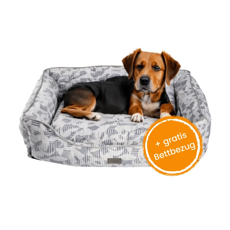 Hundebett Austin "Peter"