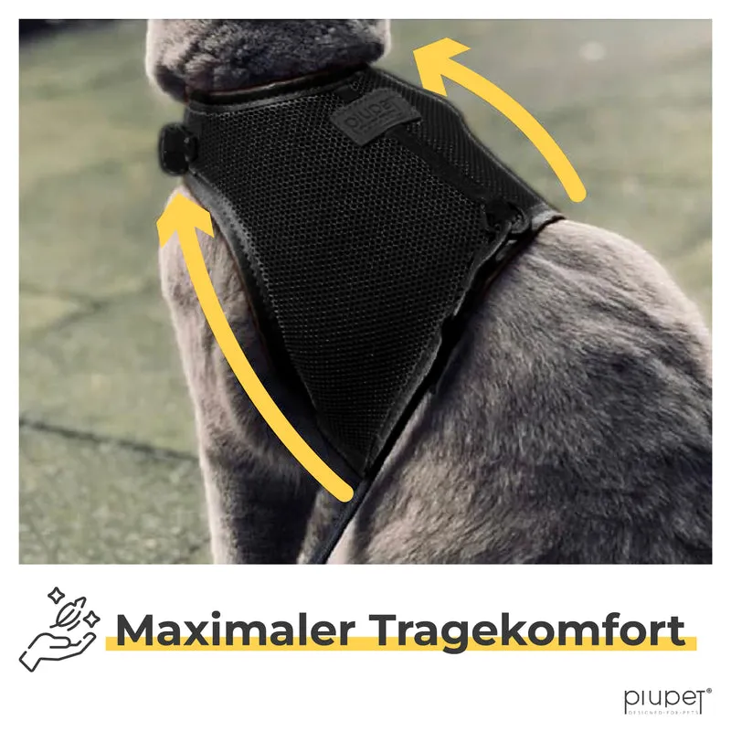 Katzengeschirr "FRITZ"