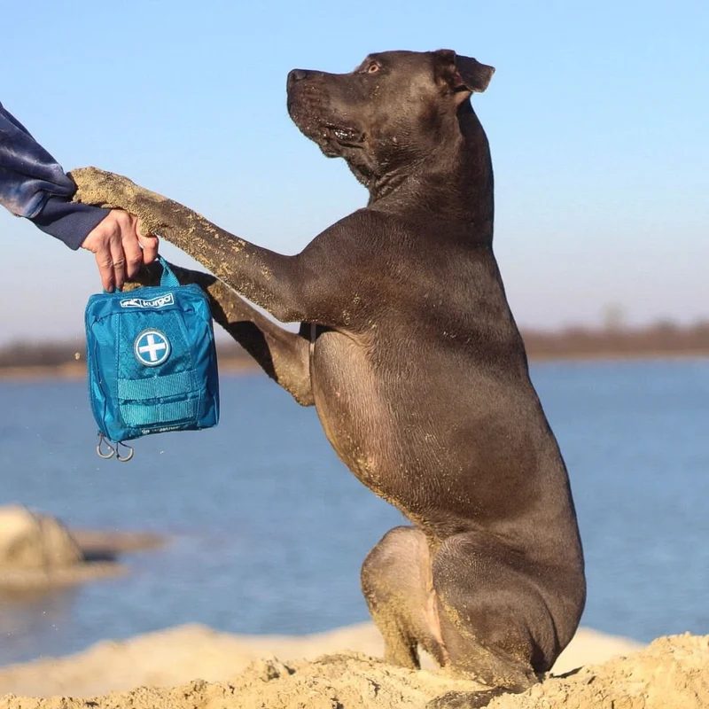 Hunde-Verbandtasche für unterwegs