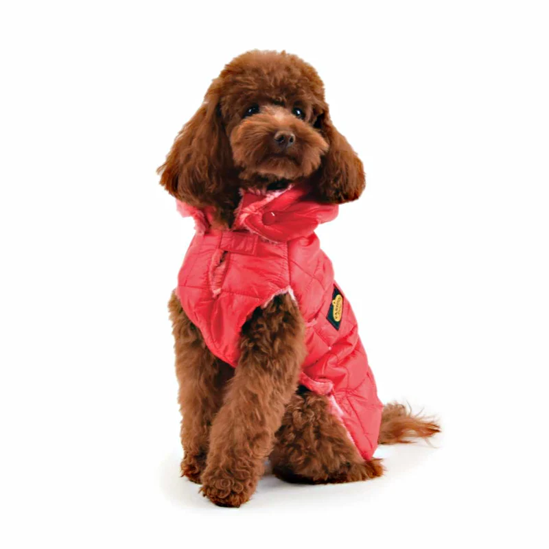Hundewintermantel / Hunderegenmantel / Steppjacke Rot mit Webpelz