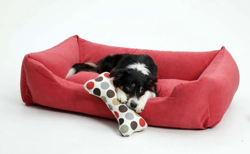 DOGS IN THE CITY - Boxbed Madison - Rot