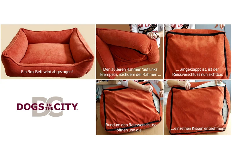 DOGS IN THE CITY - Boxbed Madison - Rot