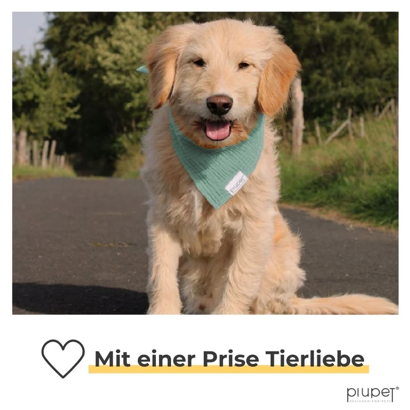 Hundehalstuch-Set "BRUNO"