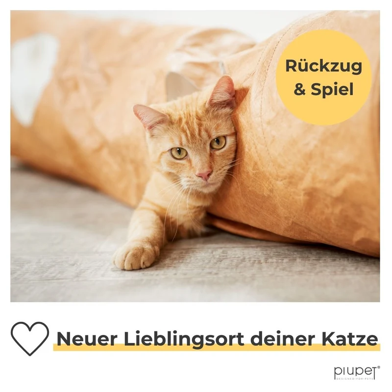 Katzentunnel "LILI"