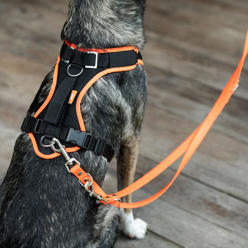 Hundegeschirr Vary