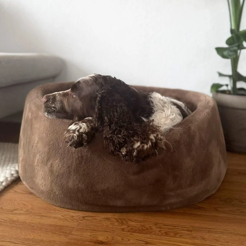 Barkly Soft Bett - Kaffee