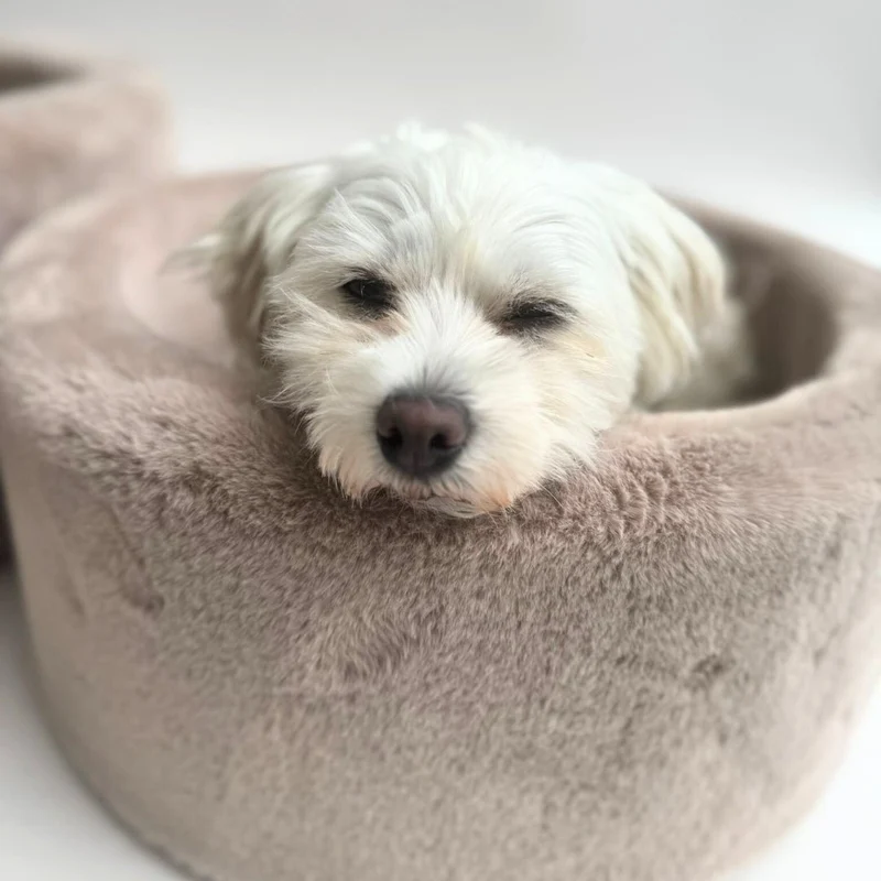 Barkly Soft Bett - Reisbraun