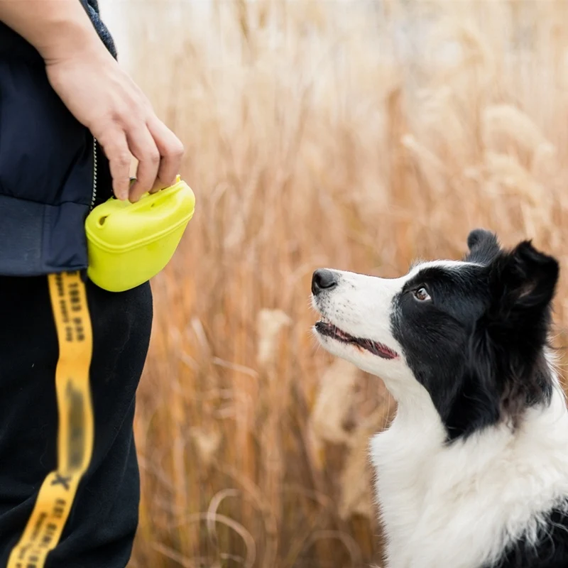 Haustier Tragbare Hund Training Taille Tasche Treat Snack Köder Hunde Gehorsam Beweglichkeit Outdoor Futter Lagerung Beutel Lebensmittel Belohnung Taille Taschen
