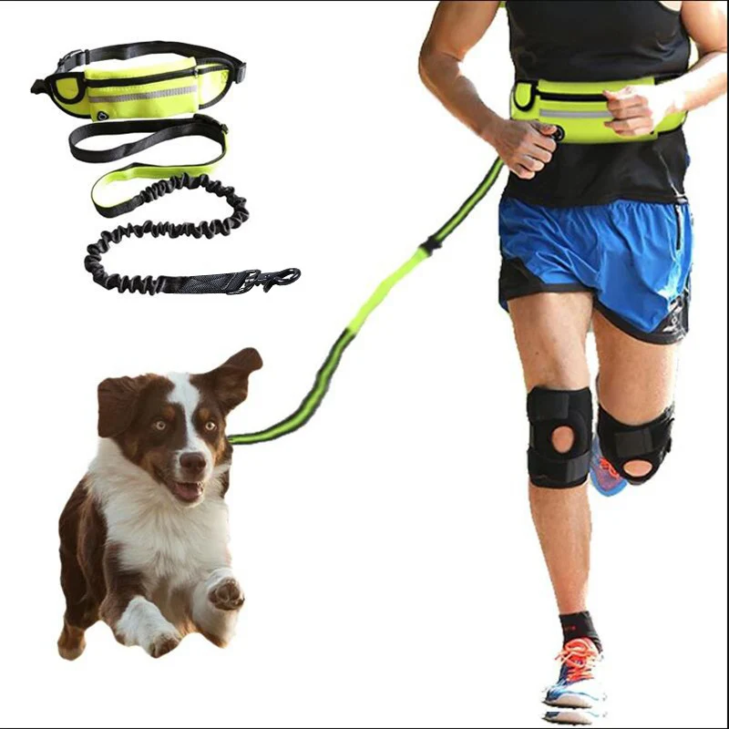 Freihändige Hundeleine Haustier-Spazier- und Trainingsgürtel mit stoßdämpfender Bungee-Leine für bis zu 81,65 kg große Hunde Handytasche und Wasserflaschenhalter