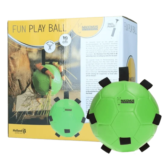 Aktivitätsspielzeug - Ball für Karotten - Grün