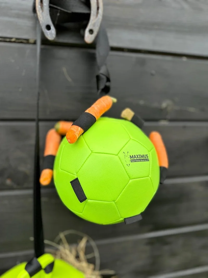 Aktivitätsspielzeug - Ball für Karotten - Grün