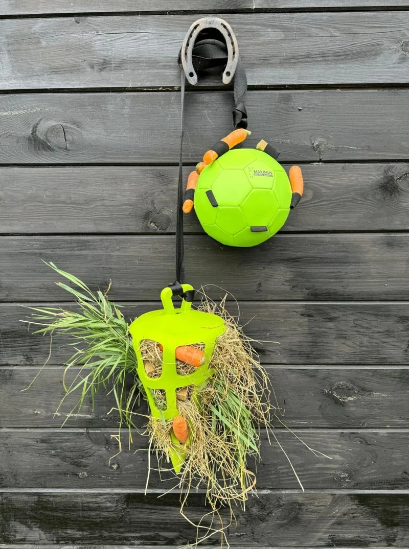 Aktivitätsspielzeug - Ball für Karotten - Grün