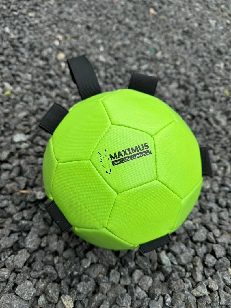 Aktivitätsspielzeug - Ball für Karotten - Grün