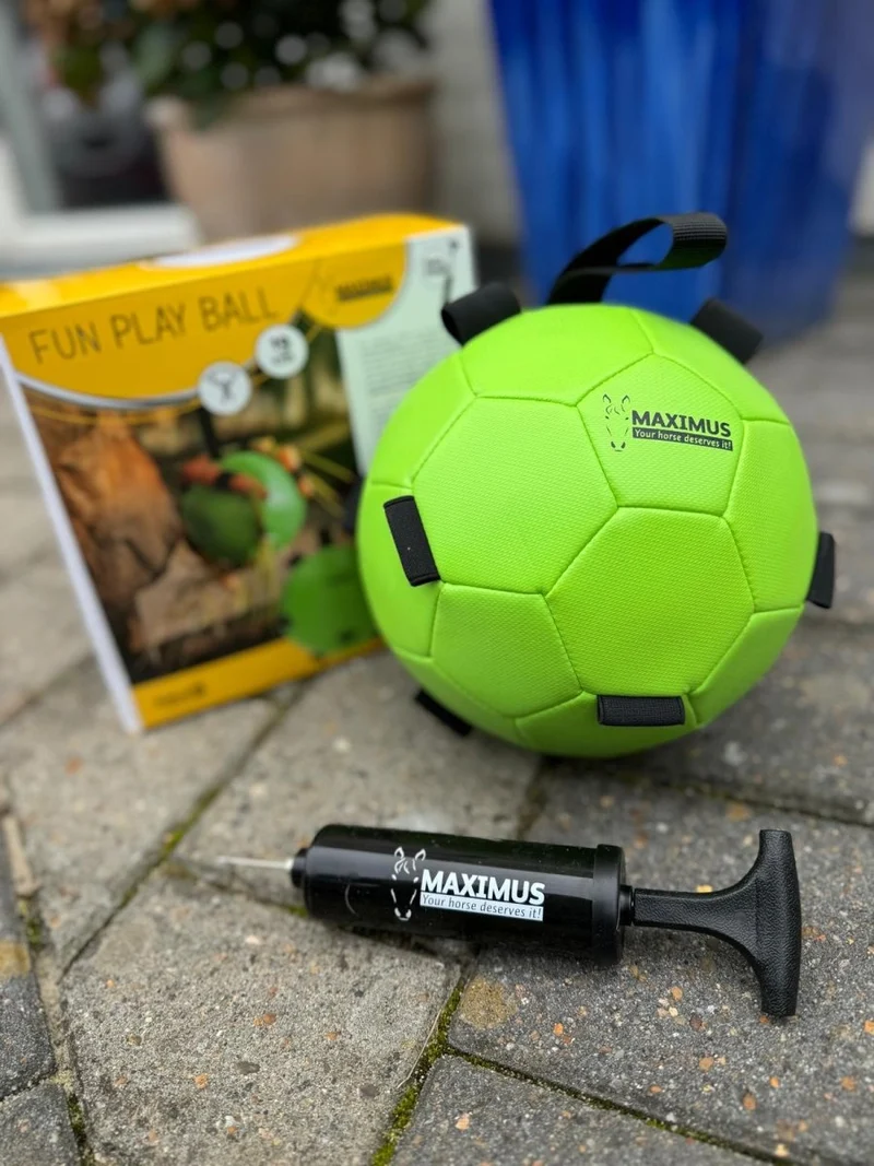 Aktivitätsspielzeug - Ball für Karotten - Grün