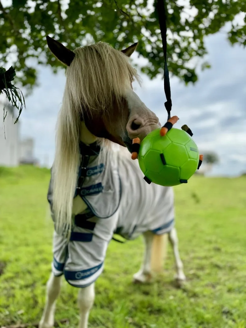Aktivitätsspielzeug - Ball für Karotten - Grün