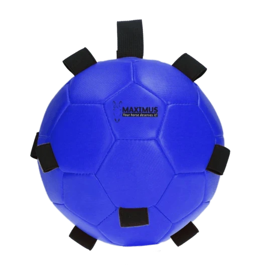 Aktivitätsspielzeug - Ball für Karotten - Blau