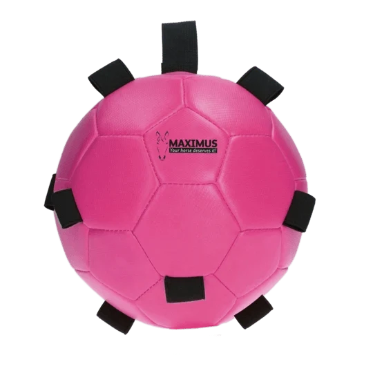 Aktivitätsspielzeug - Ball für Karotten - Rosa