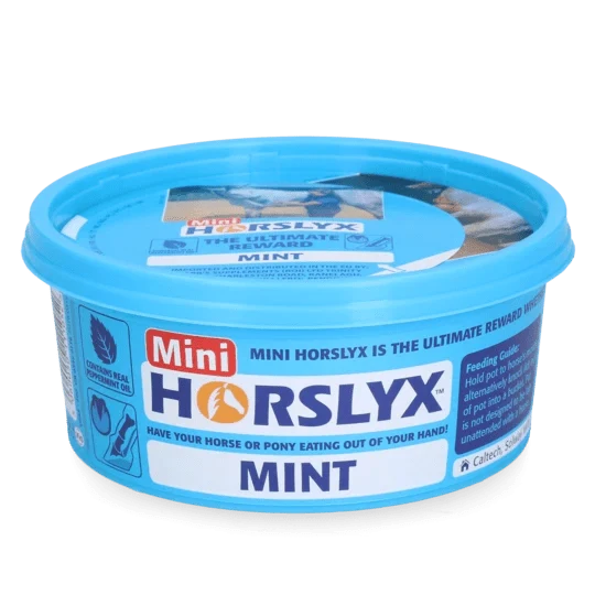 Horslyx Mini Mint - Lutscher
