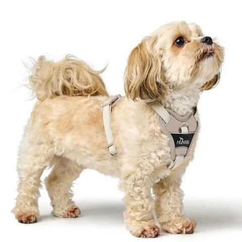 Hunter – Hundegeschirr „Divo Up“ – Beige